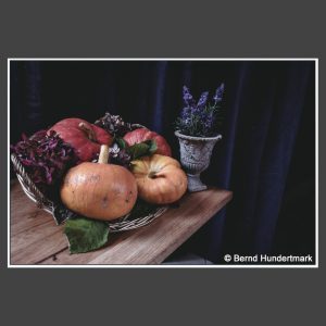 Platz 5 Hundertmark, Bernd - Stilleben mit Kürbis