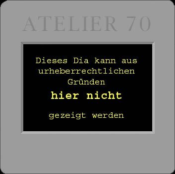 Platz 5 Maaßen, Heinke - Blattlaus