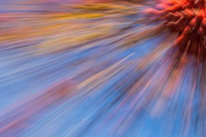 Siegfried Krause: Herbstfarben