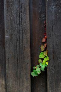 Bernd Hundertmark: Von grün nach rot