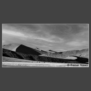 Platz 2 Nawo, Rainer - Wanderdüne