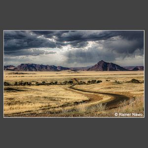 Platz 5 Nawo, Rainer - Straße in der Steppe