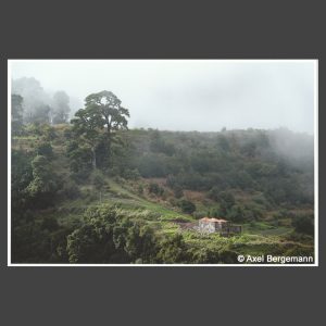 Platz 4 Bergemann, Axel - Haus im Nebel