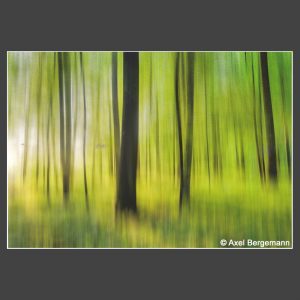 Platz 5 Bergemann, Axel - Summer Sunset