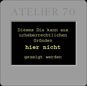 Platz 3 Maaßen, Heinke - Jungs im Nebel